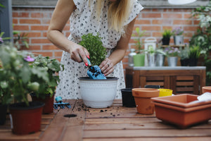 3 Tips on Choosing an Excellent Potting Bench to Boost Your Gardening