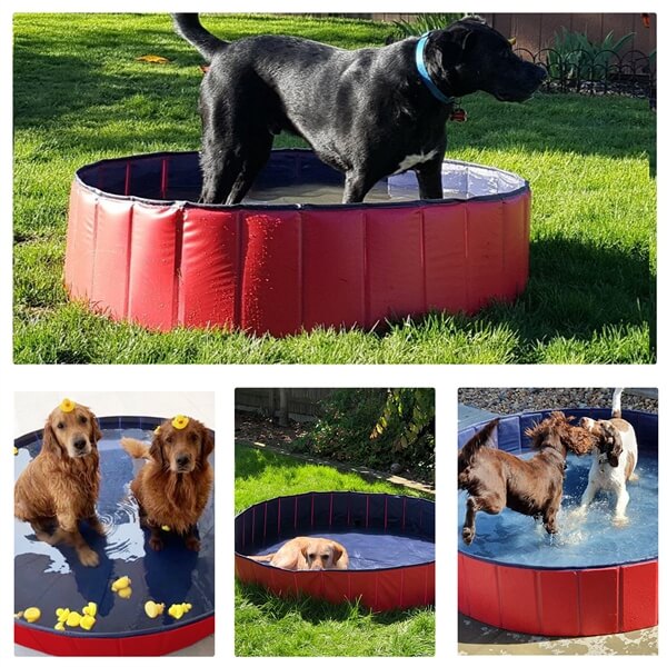 Foldable Pet Pool